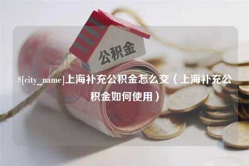 桓台上海补充公积金怎么交（上海补充公积金如何使用）